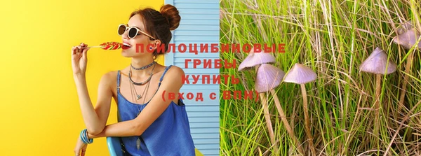 соль курить ск Алексеевка