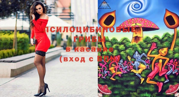 героин Алексин