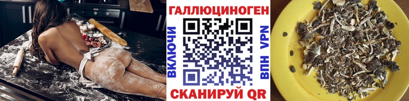 Псилоцибиновые грибы прущие грибы  MEGA маркетплейс  Всеволожск 